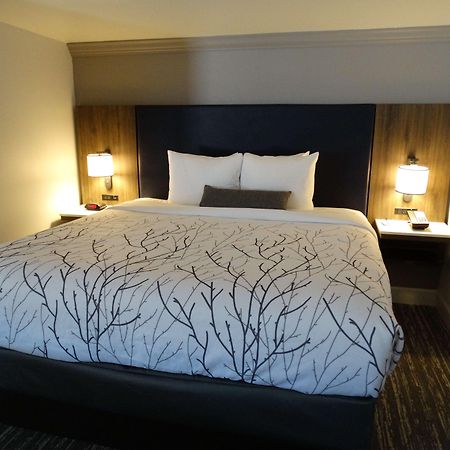 Best Western Premier Denver East Rom bilde